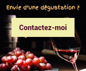 ads dégustation vin SaintEtienne